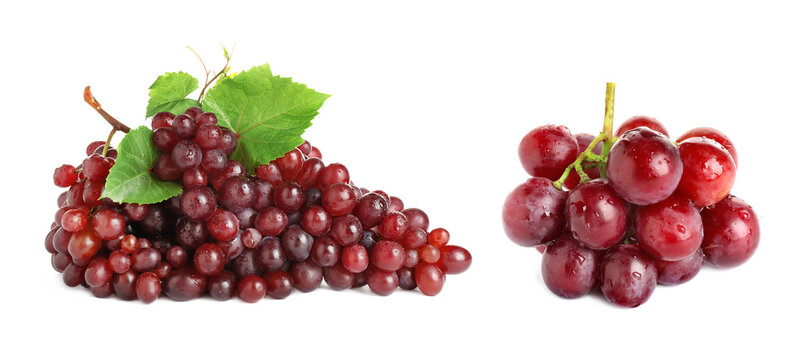 Two fresh grape clusters on white background. Banner design