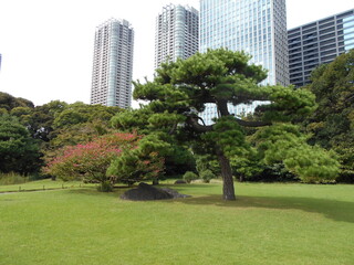 秋の日本庭園（東京）
