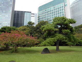 秋の日本庭園（東京）
