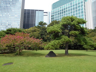 秋の日本庭園（東京）