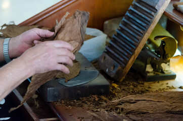 man working on rolling Cuban tobacco cigars