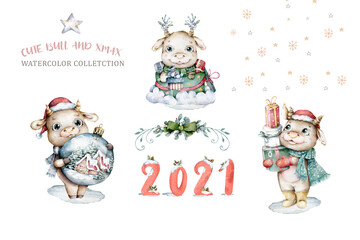 Happy Chinese new year set for greeting card. 2021 zodiac. Cute cow with gift box. Animal holidays cartoon character. Hand drawn watercolor illustration isolated on white background