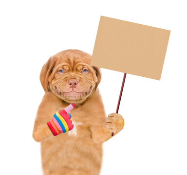 Smiling Puppy holds empty banner mock up on wood stick. isolated on white background