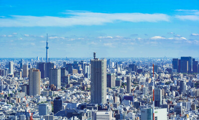 Obraz premium 東京都市風景