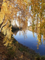 Obraz premium autumn in the park