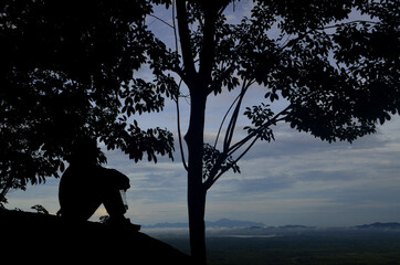 The silhouette of a person under a tree