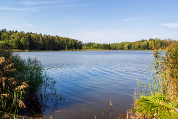 Zalew Czapielówka położony w Puszczy Knyszyńskiej to ostoja spokoju, piękna i ciszy, Podlasie, Polska