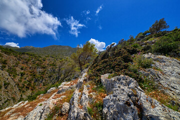 Typical Greek view, mountains, bushes, rocky slopes, wind-swept olive trees, blue sky, great clouds. Akrotiri peninsula, Chania region, Crete, Greece.