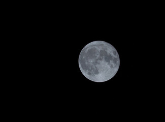 Obraz premium 月 (moon)