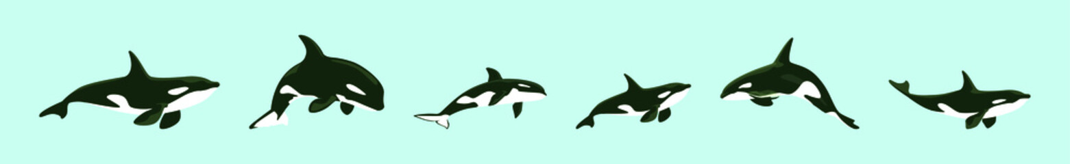set of killer whale cartoon icon design template with various models. vector illustration isolated on blue background