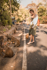 Obraz premium Caucasian traveller woman with Little smart active monkeys in the wild eat watermelons and friends run. Green Jungle creepers overgrown. Thailand Phuket Monkey Mountain.