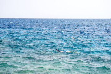 Natural background with marine landscape.