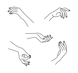 Woman's hands set with manicure in line art style. Female hands different gestures vector illustration