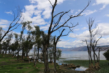 ERHAI, YUNNAN, CHINA