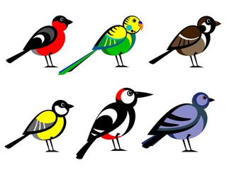 A collection of cartoon birds.
Set of stylized Birds collection. Various stylized Birds isolated on white background. Vector illustration.