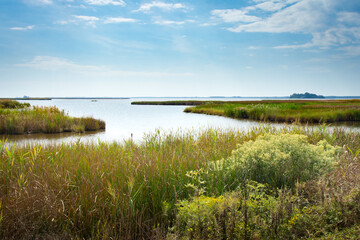 Fall marsh landscape vista grasses, water, big sky