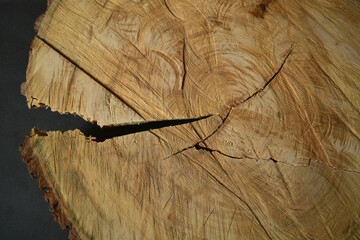View from above of a felled tree with a crack