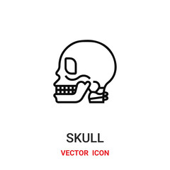 skull icon vector symbol. skull symbol icon vector for your design. Modern outline icon for your website and mobile app design.