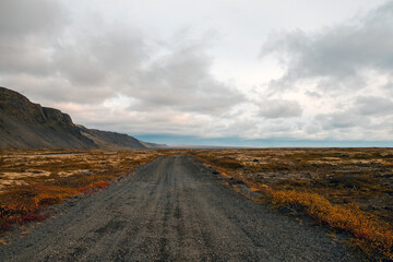 Fototapeta na wymiar Icelandic wild road. Lonely landscape