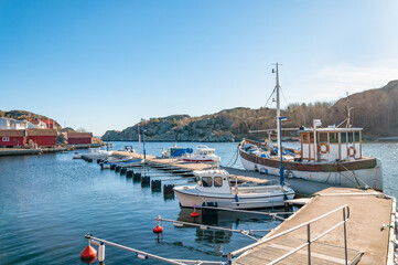 boats in the harbor