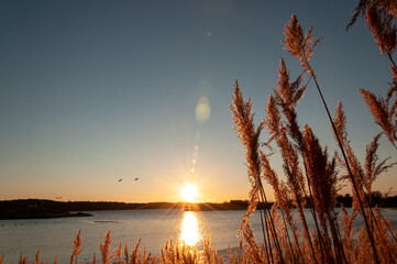 sunset on the lake