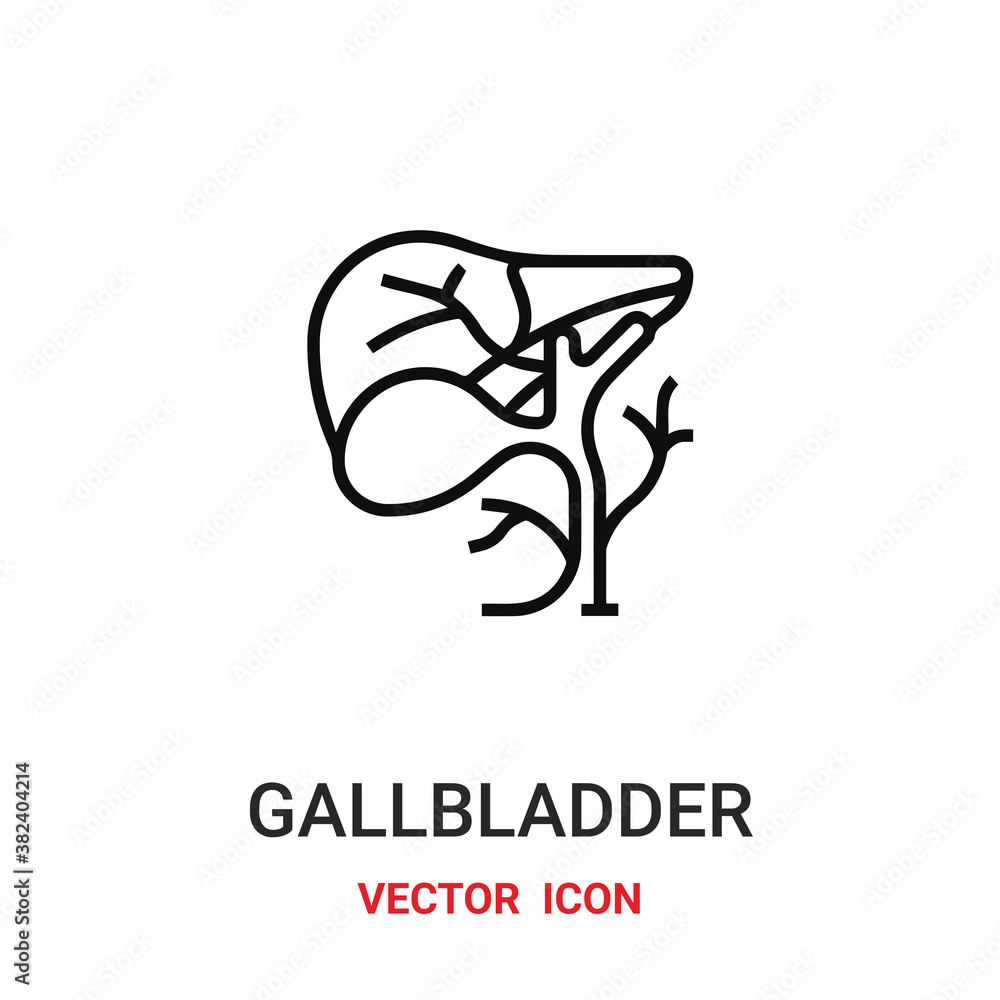 Poster gallbladder icon vector symbol. gallbladder symbol icon vector for your design. modern outline icon 