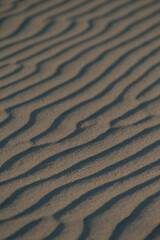 Figuras en la duna