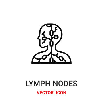 Lymph nodes vector icon. Modern, simple flat vector illustration for website or mobile app.Lymph nodes symbol, logo illustration. Pixel perfect vector graphics	