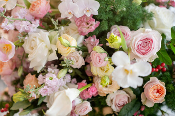 Bunch of beautiful colorful flower