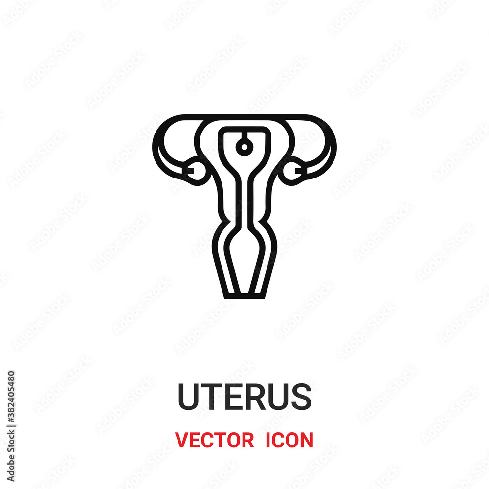 Poster uterus icon vector symbol. uterus symbol icon vector for your design. modern outline icon for your w