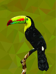 Vector illustration of a bird with a bright beak from polygons