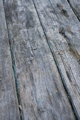 Obraz premium ジャンクガーデンのテーブル