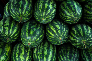 Watermelon for sale in the market