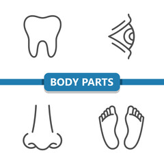 Body Parts Icons