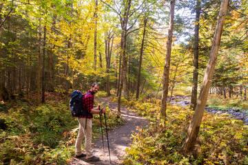 View of a hiker with walking poles in a forest, in the Mont-Megantic national park, Canada