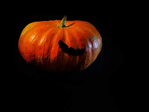 orange halloween pumpkin with black background and a black bat attached