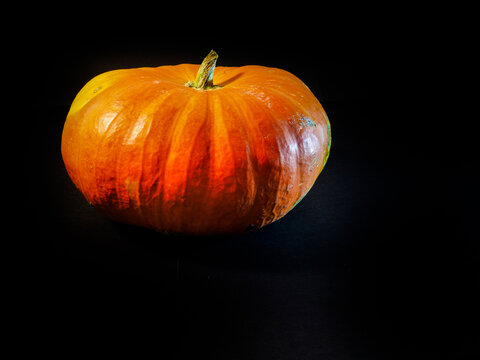 orange halloween pumpkin with black background