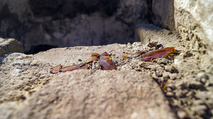 Shards of glass from a broken bottle in the sand. Consequences of damage to the house. Beyond it was a blurred wall, smeared with soot from the fire.
