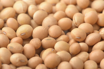 Close up of dried soy beans