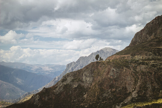 Lonely tree in a mountain in Ayacucho - for wallpapers