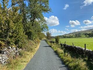 Country lane, with dry stone walls, old trees and fields, leading toward, Kilnsey, Skipton, UK