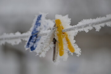 icicles on a branch
