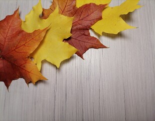 autumn leaves on wooden background