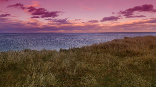 Landscape With Calm Water At Ringkobing Fjord, Denmark