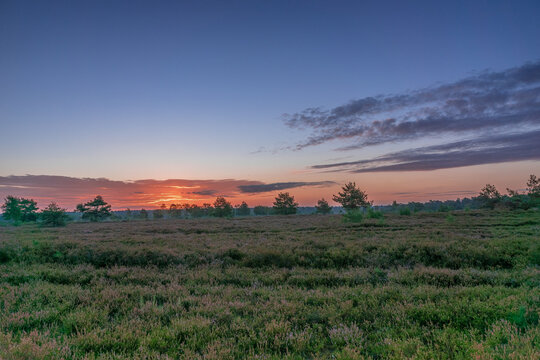 Schneverdingen Bilder Durchsuchen 1,143 Archivfotos,