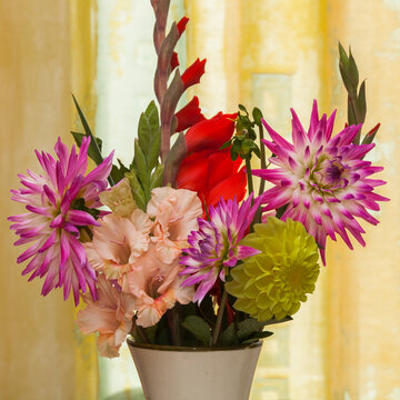 Bouquet de gla&iuml;euls et de dahlias devant un rideau jaune
