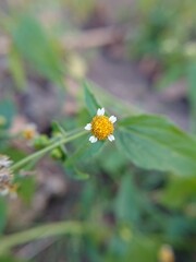 I take out old archives with photos. Landscape, food, water