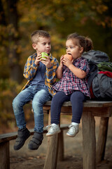 Brother and sister having snack on a picnic