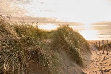 Poster de jardin Mer du Nord, Pays-Bas Longue herbe sur les dunes de sable sur la côte entre Zandvoort et Bloemendaal