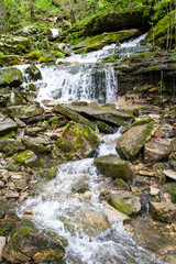 Fototapeta premium waterfall in the forest
